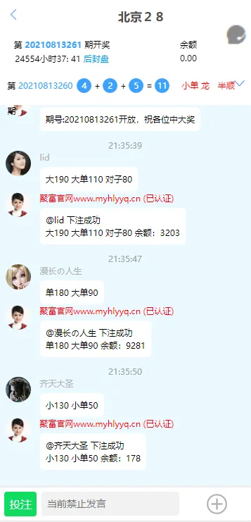 旗舰28/二开版/新UI/完美运营/彩种丰富/机器人插图2